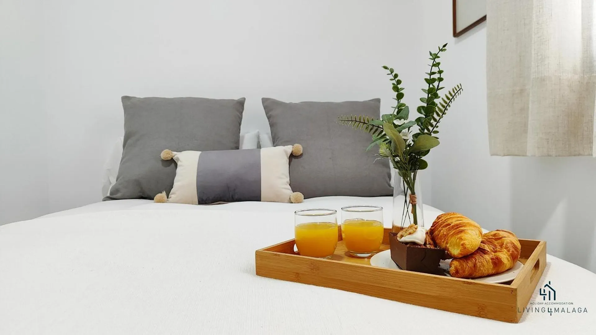 Living4Malaga Victoria Center Apartment